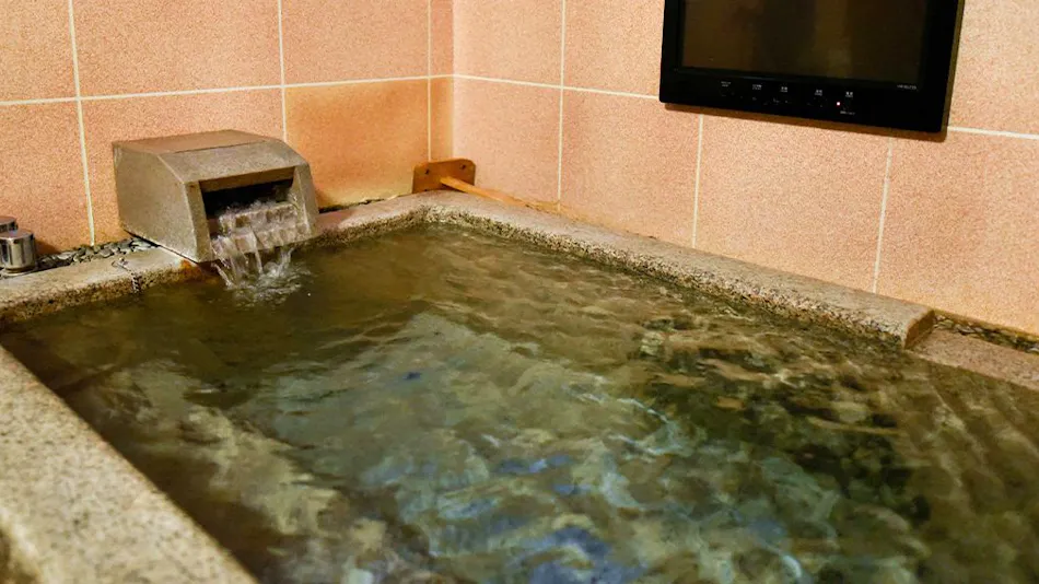 Kamegawa Onsen Yuyu
