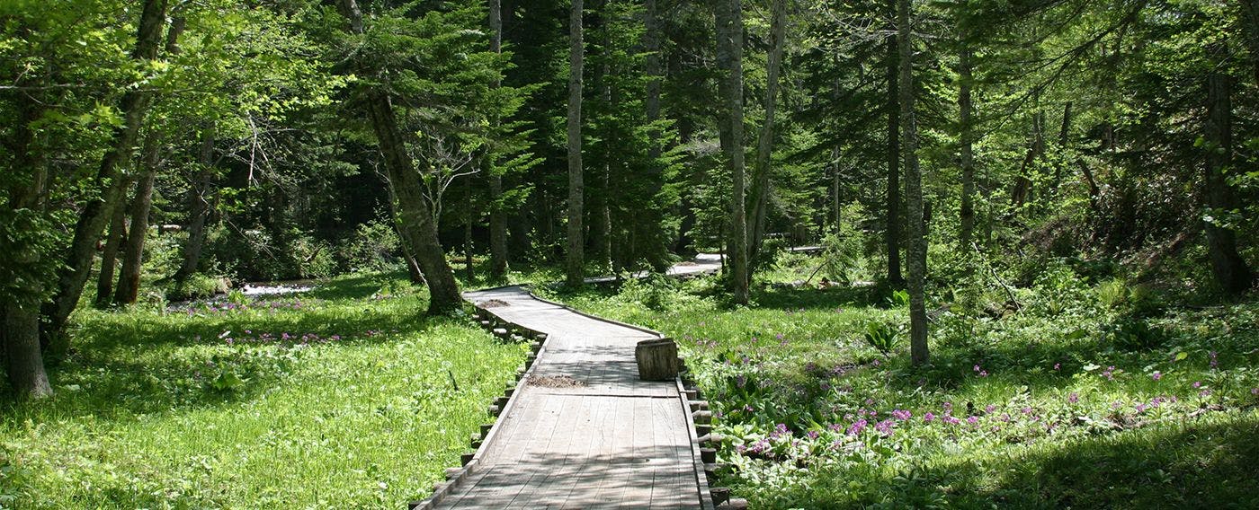 บริเวณใกล้เคียง