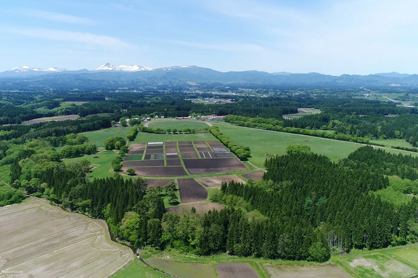 ฟาร์ม, ทุ่งนา