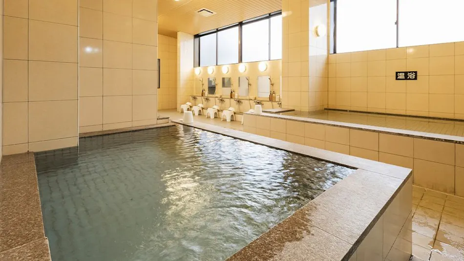 Shin-Maebashi Terminal Hotel