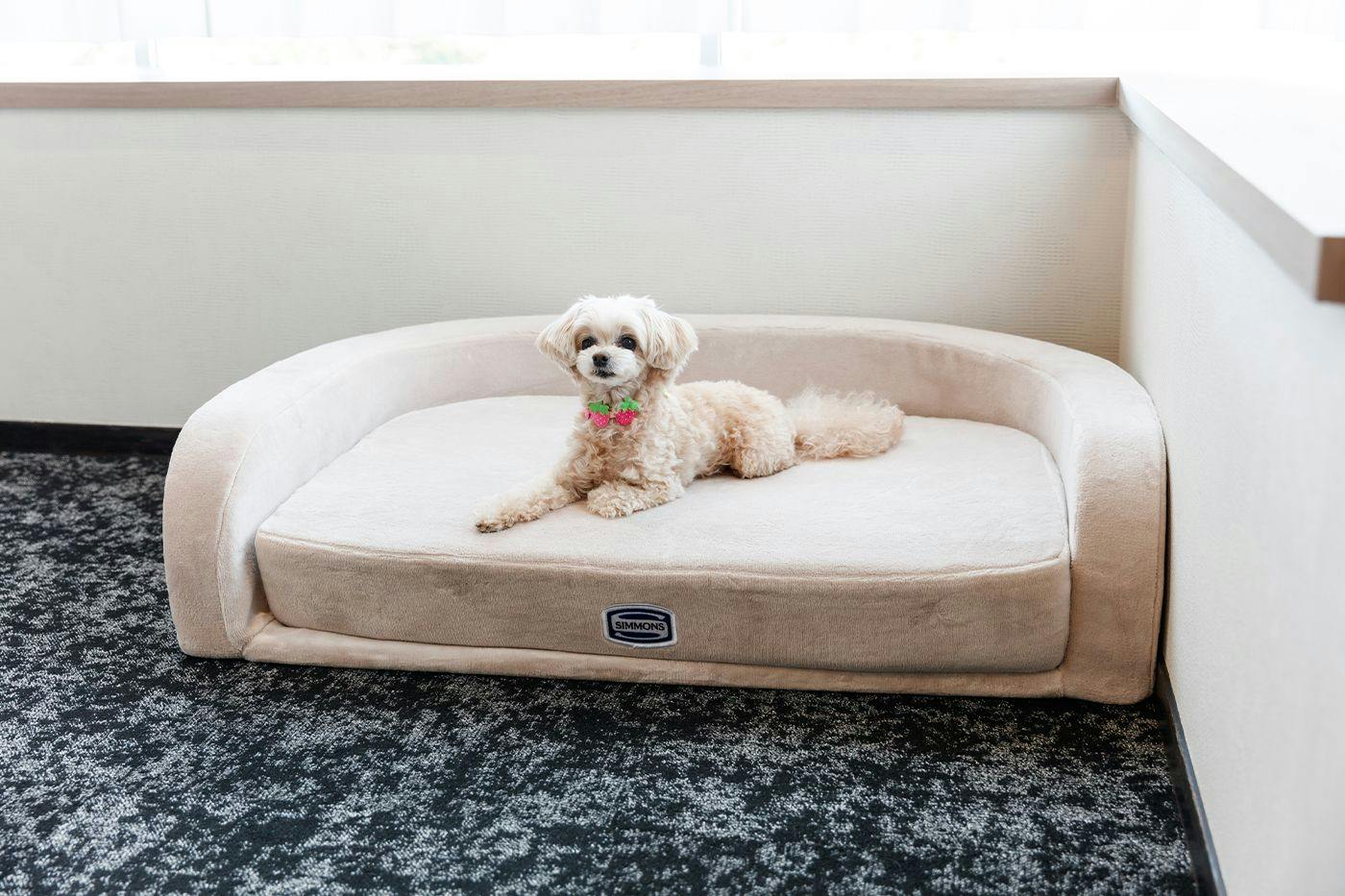 Authentic Inn for Stays with Your Beloved Dog - Awara Onsen Tsukika