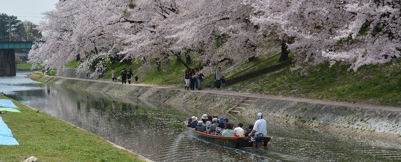 ธรรมชาติและฤดูกาลรอบๆ