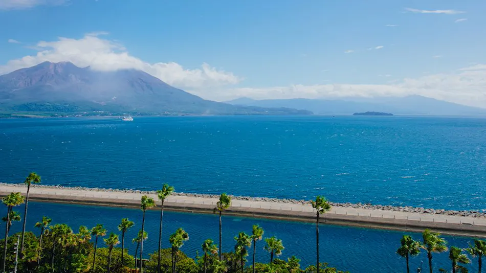 Hotel Wellview Kagoshima