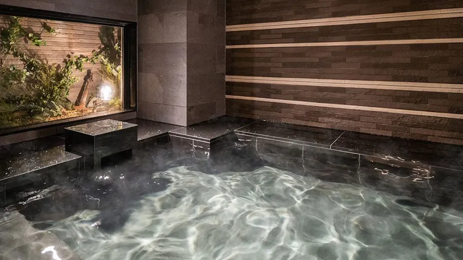 Natural Hot Spring Togo no Yu Super Hotel Higashi-Maizuru