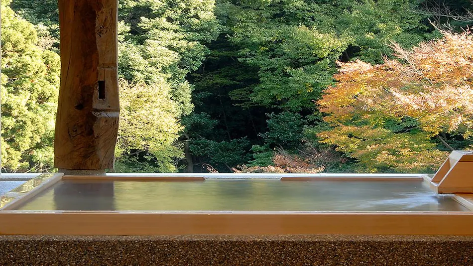 Hakone Suimeisou