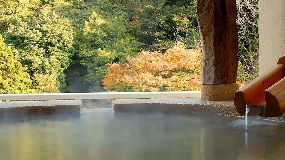 Hakone Suimeisou