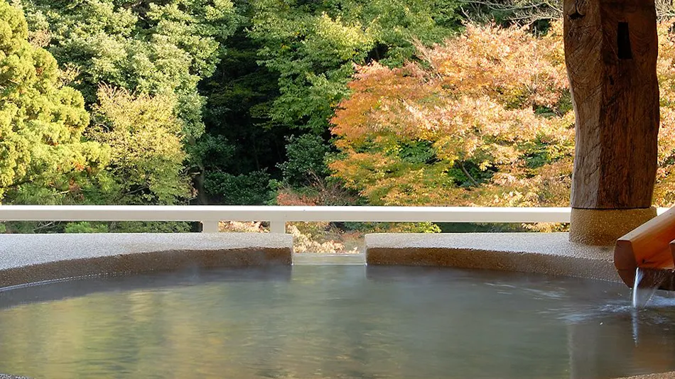 Hakone Suimeisou