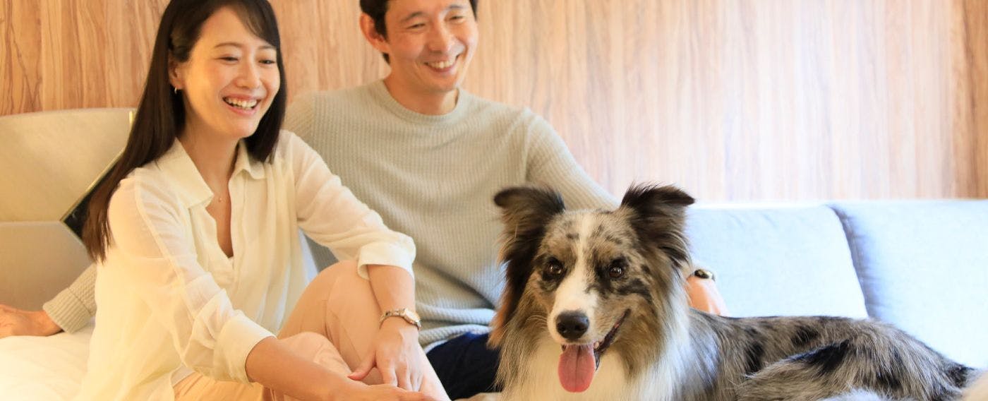 ภาพการเข้าพักพร้อมสัตว์เลี้ยงที่คุณรัก