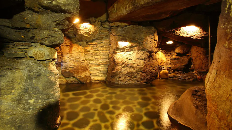Hirayama Onsen Yama Fuchi no Yado Ikki Ikusou