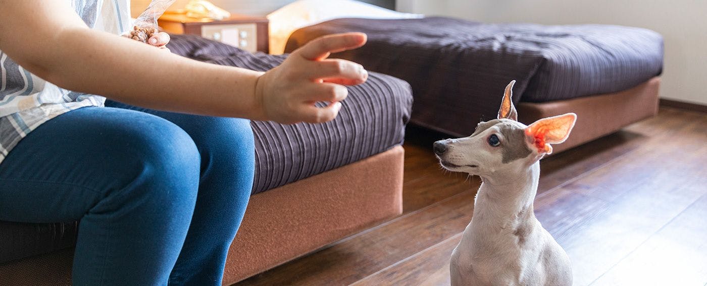 Yumoto Horohoro Sanso