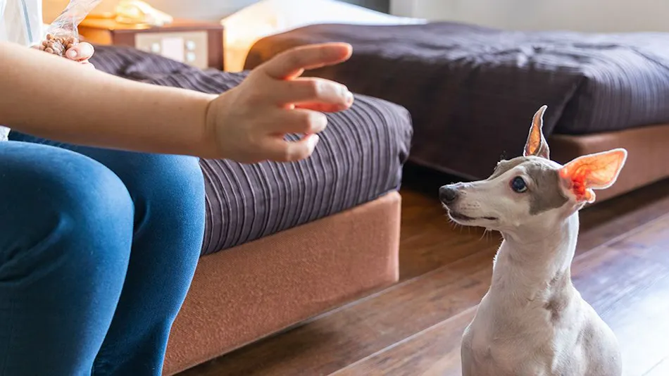 Yumoto Horohoro Sanso