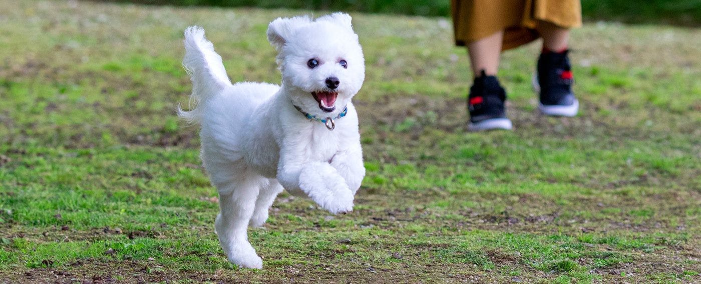 Yumoto Horohoro Sanso