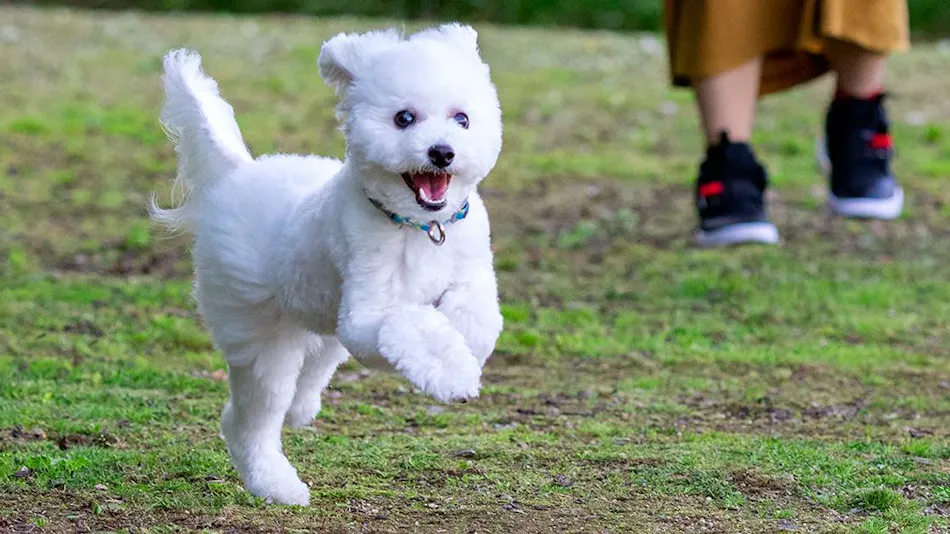 Yumoto Horohoro Sanso