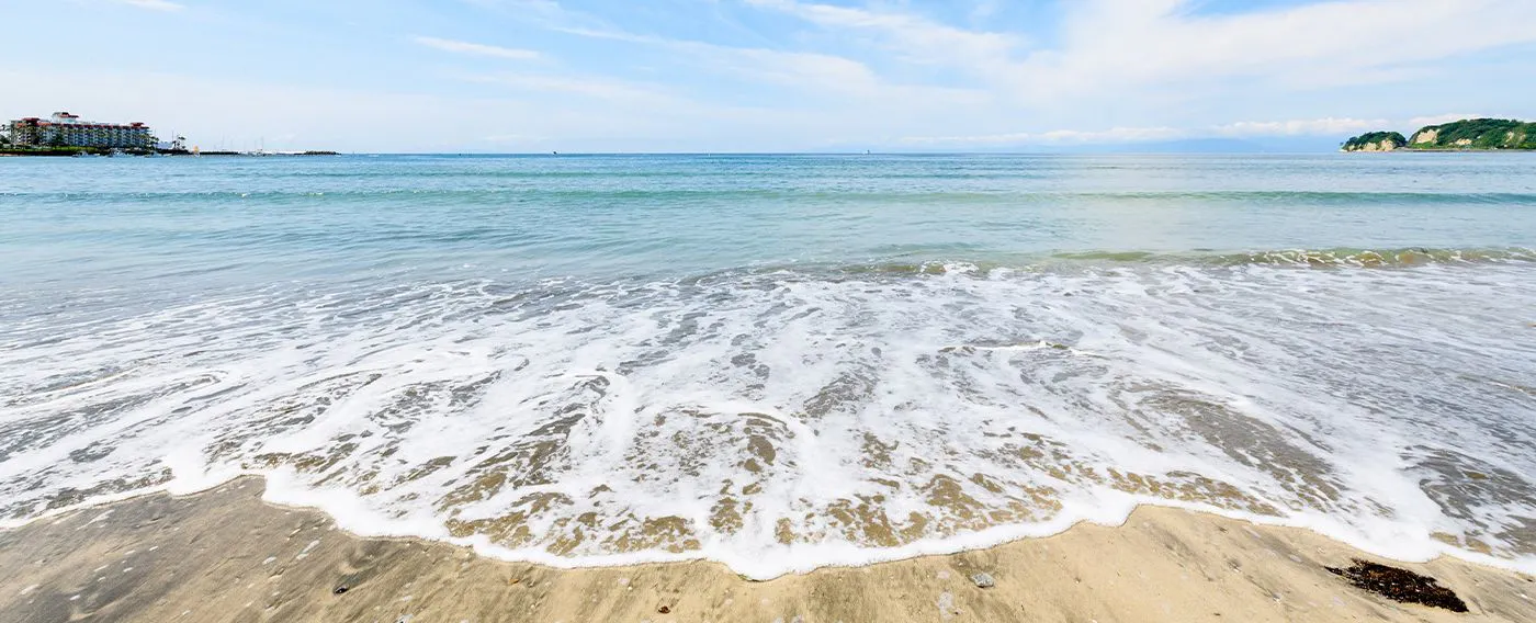 a_tpc_zaimokuzakaigan