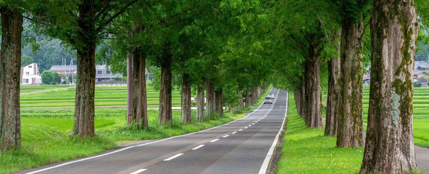 บริเวณโดยรอบ ฤดูร้อน