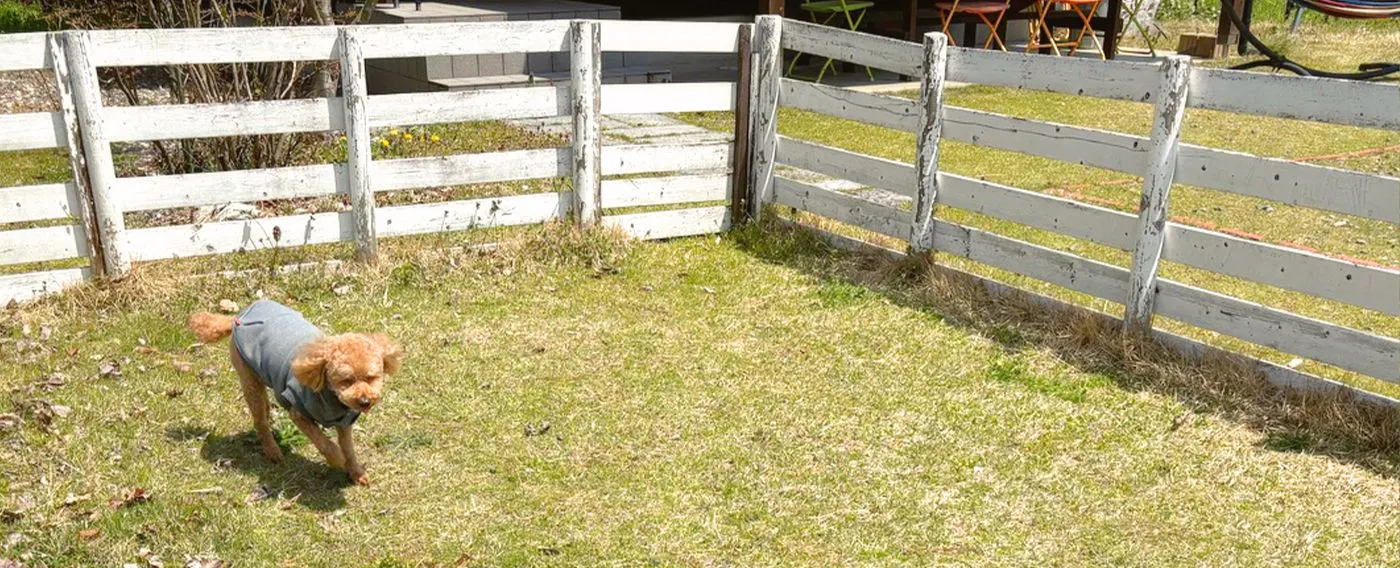 สนามวิ่งเล่นสำหรับสุนัข