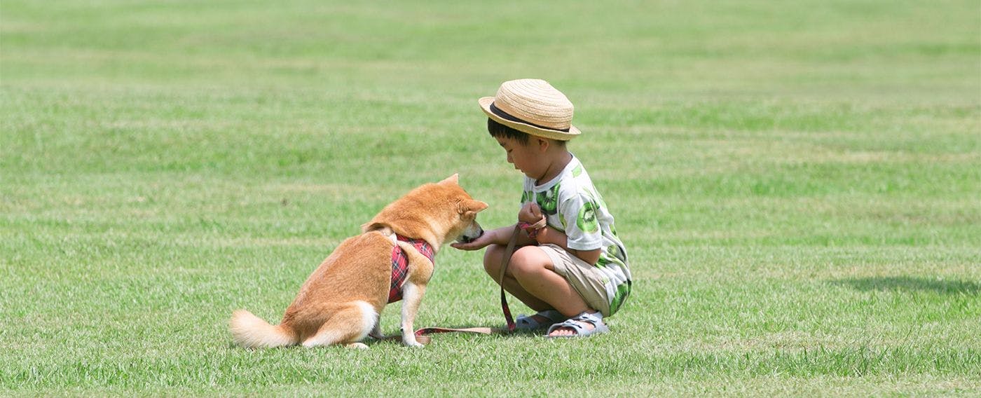 ภาพลักษณ์การเข้าพักพร้อมสัตว์เลี้ยง