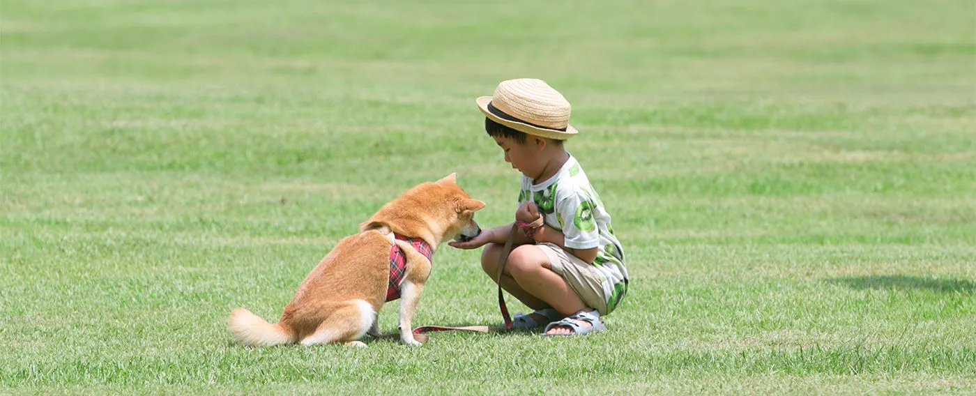 ภาพลักษณ์การเข้าพักพร้อมสัตว์เลี้ยง