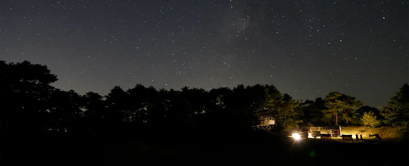 ท้องฟ้าที่เต็มไปด้วยดวงดาว