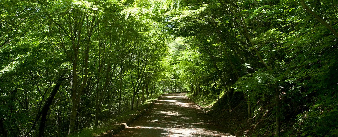 บริเวณใกล้เคียง