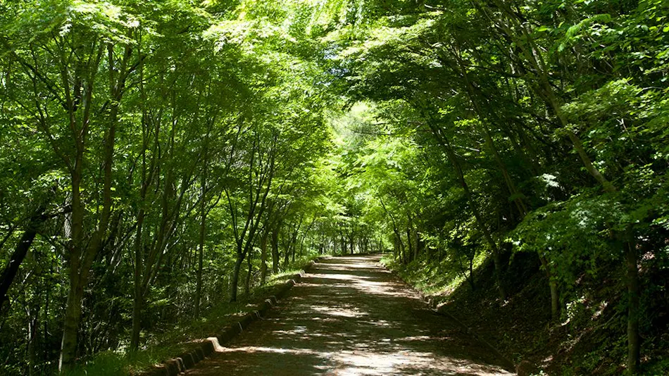 Jinseki Kogen Tiergarten