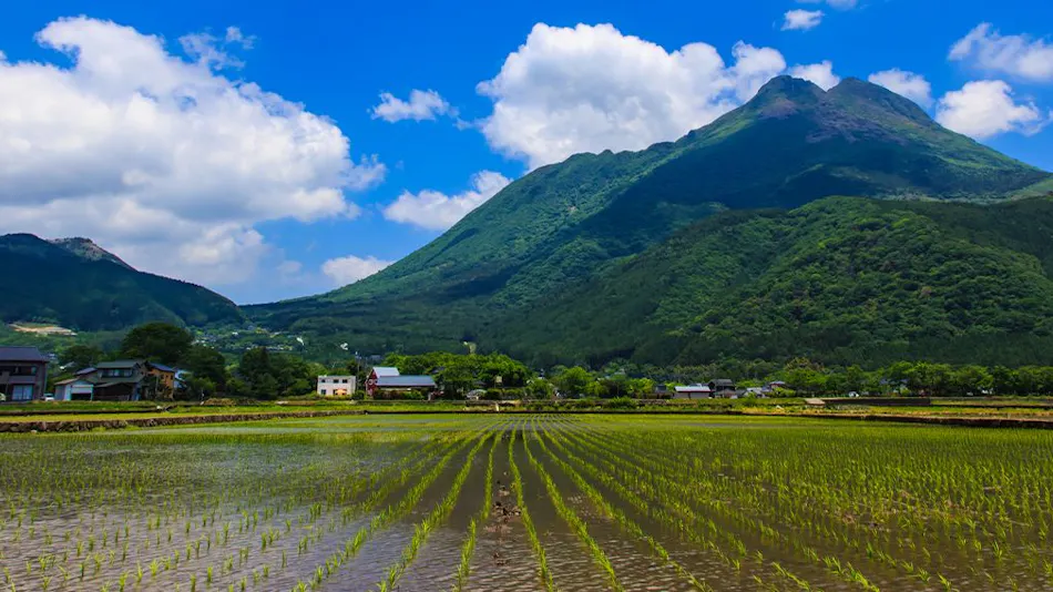 Yufuin Bath Satoyama Chafu