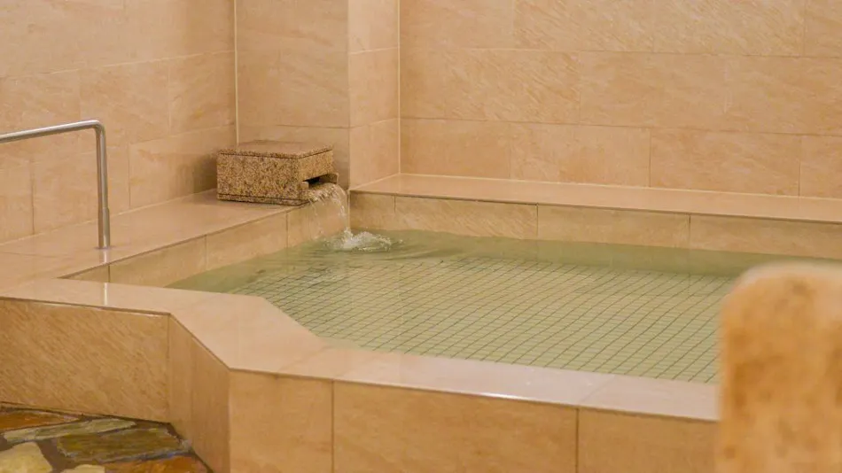 Hotel New Gaia Nishi-Kumamoto Ekimae