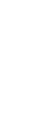 フォトギャラリー