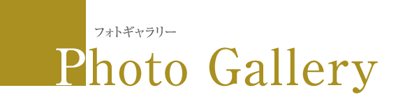 フォトギャラリー