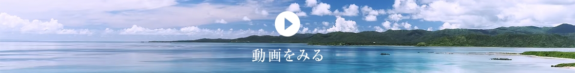 はいむるぶし 動画をみる