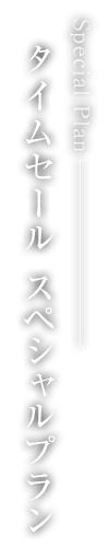 タイムセール スペシャルプラ