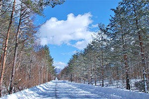 月の光イメージ