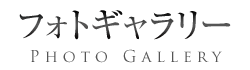 フォトギャラリー