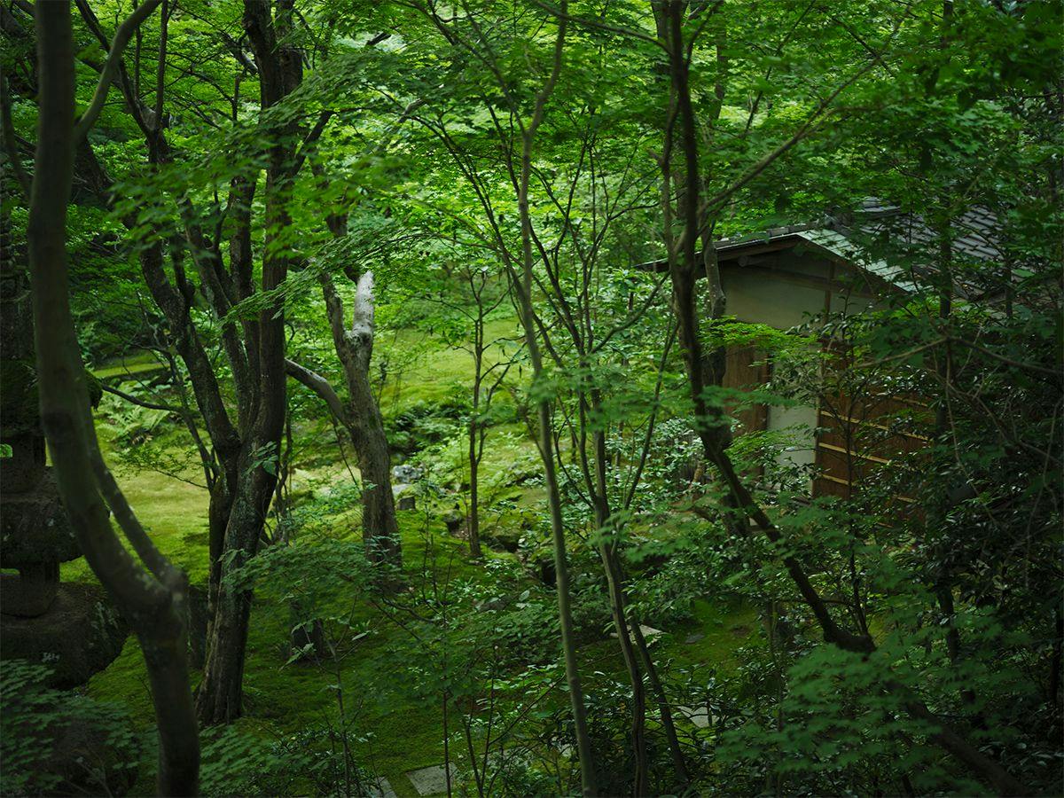 べにや無何有