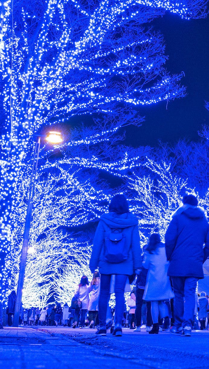 22年 カップルで行きたいデートスポット 二人の距離が縮まる 定番から穴場まで 一休 Com 22年 カップルで行きたいデートスポット 二人の距離が縮まる 定番から穴場まで 一休 Com