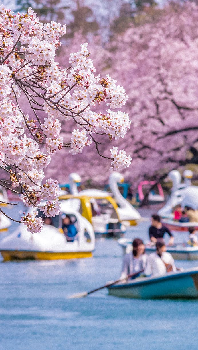 22年 カップルで行きたいデートスポット 二人の距離が縮まる 定番から穴場まで 一休 Com 22年 カップルで行きたいデートスポット 二人の距離が縮まる 定番から穴場まで 一休 Com