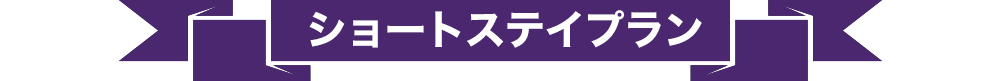 ユニバーサル・スタジオ・ジャパン周辺ホテル チケット付 宿泊プラン