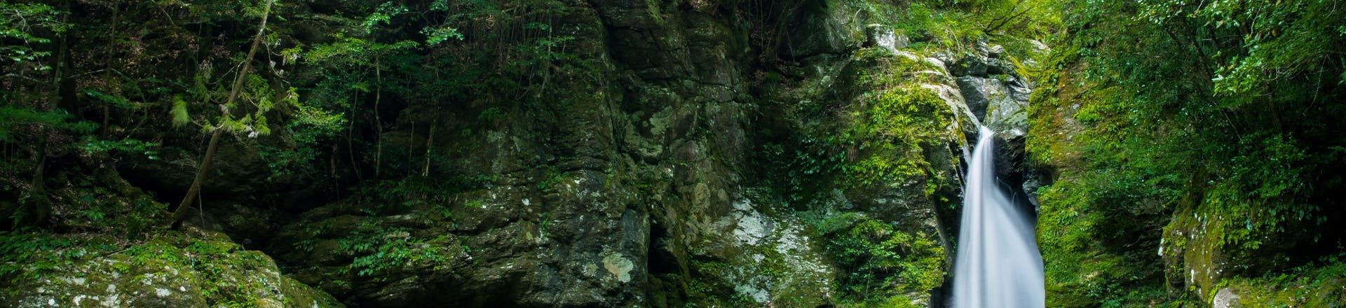 2021年】高知観光で行きたい名所！高知旅行おすすめ人気スポット20選 