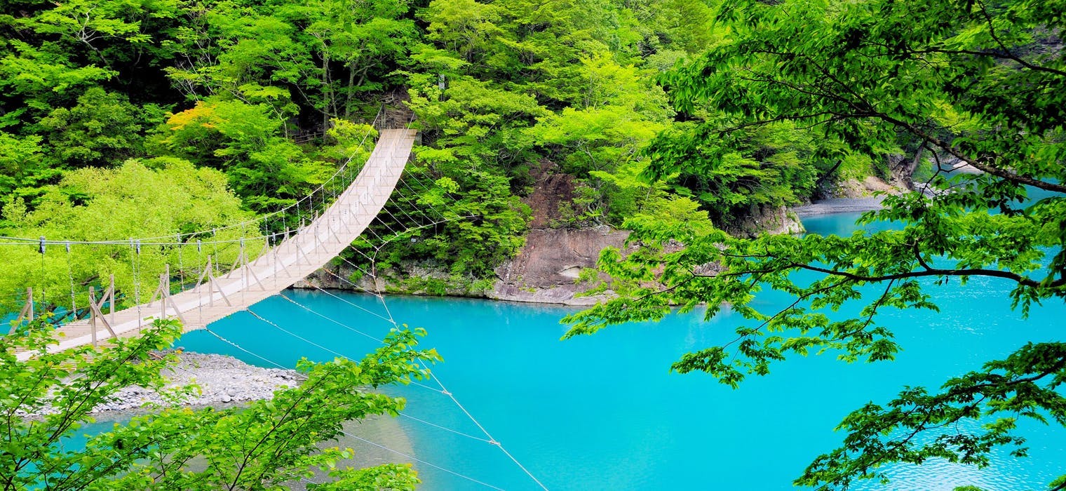 静岡 県 観光