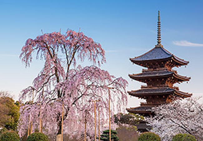 21年 京都観光で行きたい名所 京都旅行おすすめ人気スポット30選 一休 Com 21年 京都観光で行きたい名所 京都旅行おすすめ人気スポット30選 一休 Com