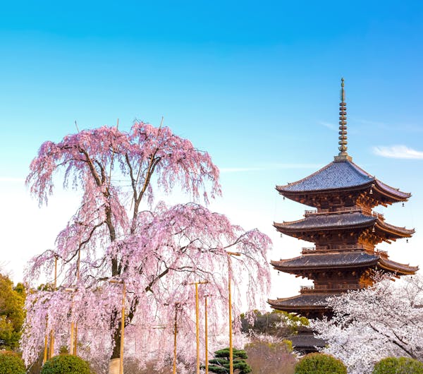 東寺 京都 京都駅周辺 人気スポット 一休 Com 東寺 京都 京都駅周辺 人気スポット 一休 Com