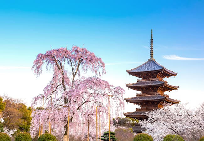 22年 京都観光で行きたい名所 京都旅行おすすめ人気スポット30選 一休 Com 22年 京都観光で行きたい名所 京都旅行おすすめ人気スポット30選 一休 Com