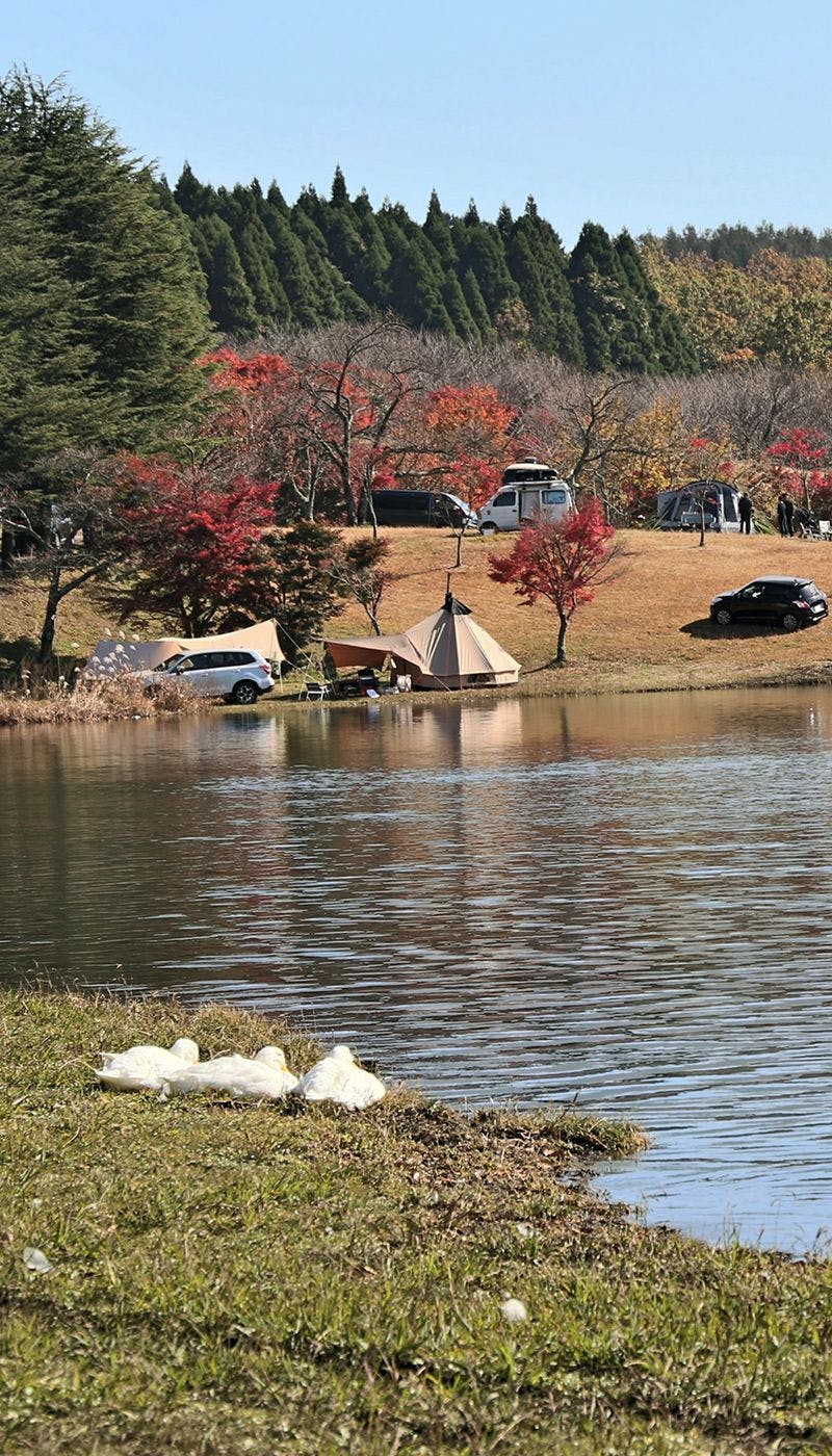 22年 大分でアウトドアを満喫 大分のおすすめ人気キャンプ場11選 一休 Com 22年 大分でアウトドアを満喫 大分のおすすめ人気キャンプ場11選 一休 Com