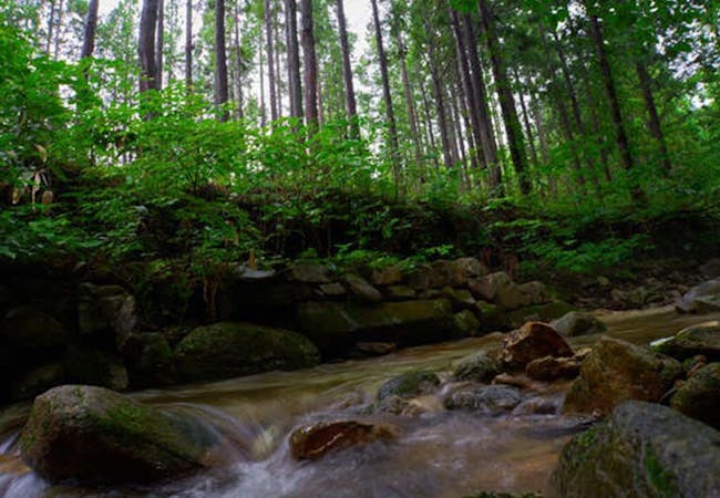 22年 岐阜でアウトドアを満喫 岐阜のおすすめ人気キャンプ場選 一休 Com 22年 岐阜でアウトドアを満喫 岐阜のおすすめ人気キャンプ場選 一休 Com