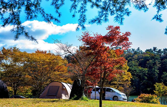 別府 別府温泉 キャンプ22 別府 別府温泉 充実したキャンプ場の情報が満載 おすすめ人気キャンプ場2選 一休 Com 別府 別府温泉 キャンプ22 別府 別府温泉 充実したキャンプ場の情報が満載 おすすめ人気キャンプ場2選 一休 Com