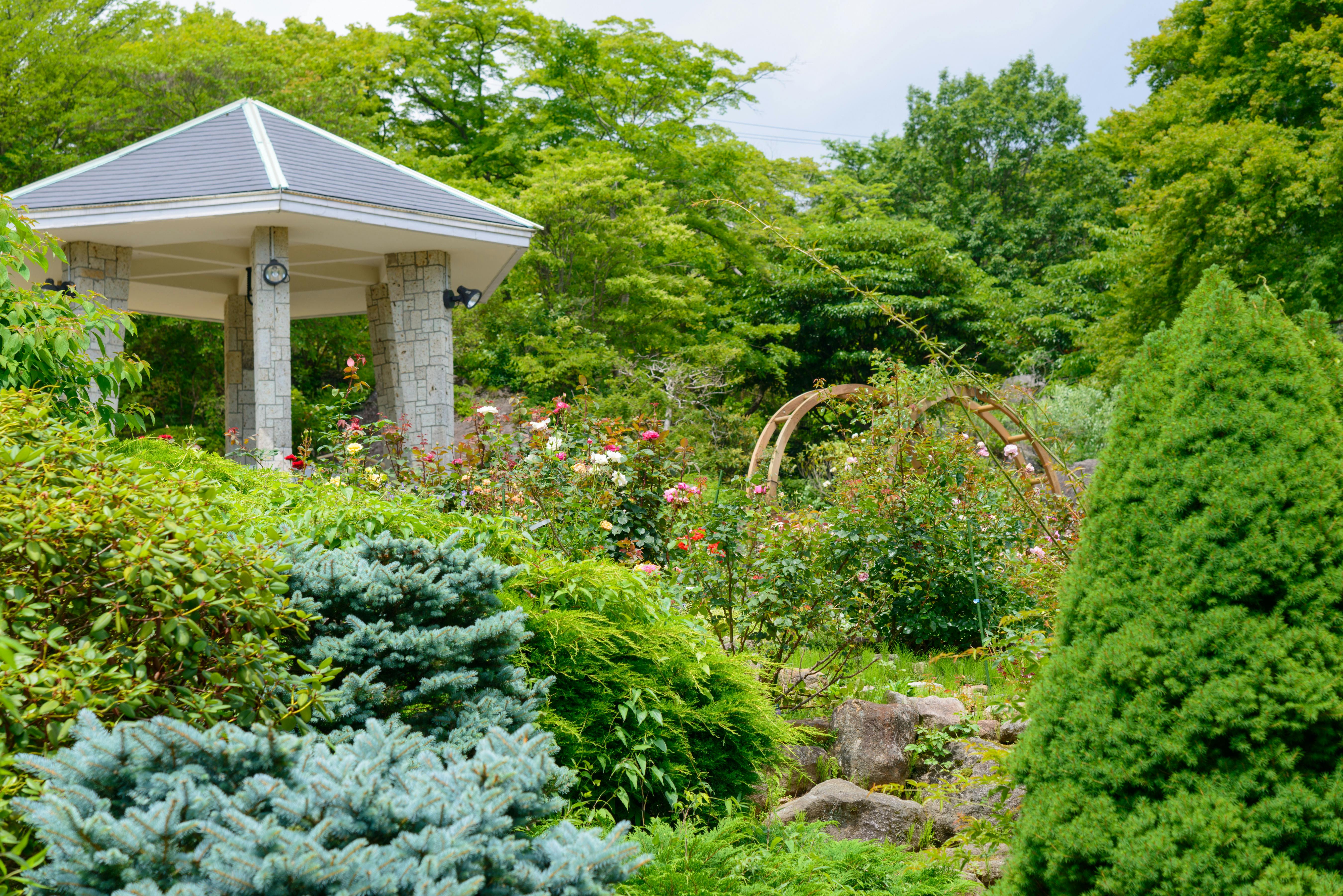 箱根強羅公園 神奈川 箱根 人気スポット 一休 Com