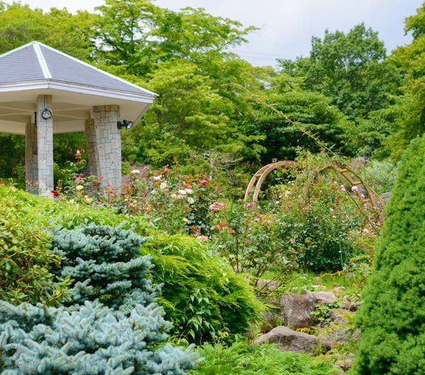 箱根強羅公園 神奈川 箱根 人気スポット 一休 Com 箱根強羅公園 神奈川 箱根 人気スポット 一休 Com