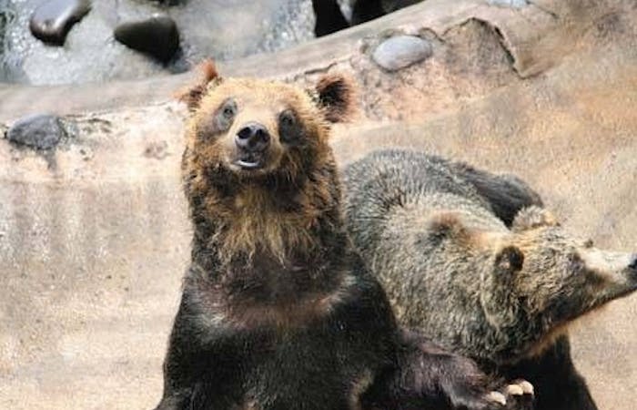 21年 登別観光で行きたい名所 登別旅行おすすめ人気スポット30選 一休 Com 21年 登別観光で行きたい名所 登別旅行おすすめ人気スポット30選 一休 Com