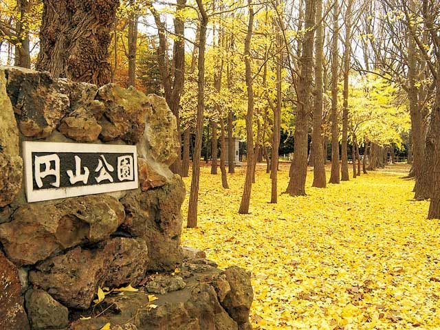 白い恋人パーク 北海道 札幌 人気スポット 一休 Com