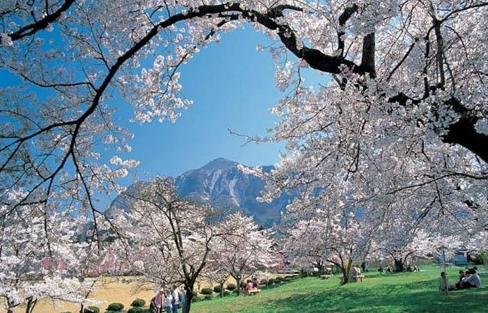 21年 秩父観光で行きたい名所 秩父旅行おすすめ人気スポット30選 一休 Com 21年 秩父観光で行きたい名所 秩父旅行おすすめ人気スポット30選 一休 Com